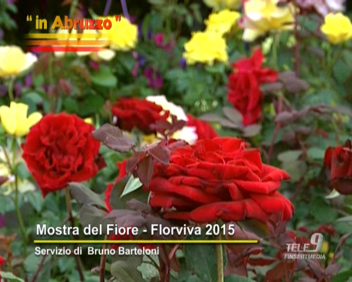 Mostra del fiore - Florviva